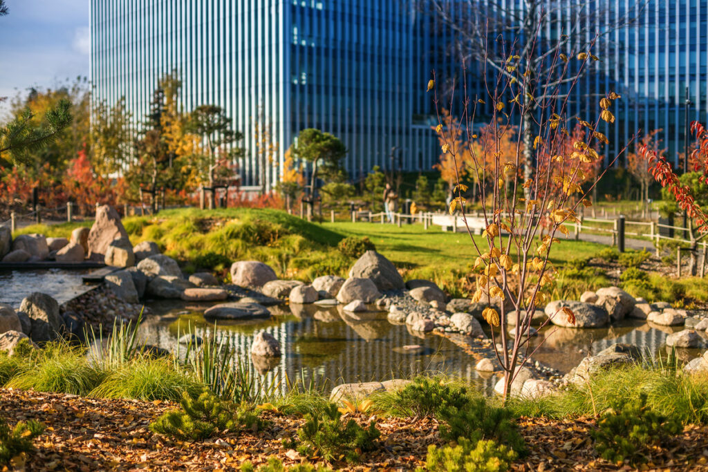 Commercial Property Landscape Upgrade