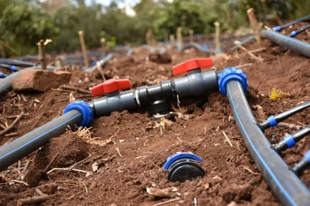 Drip Irrigation Installation