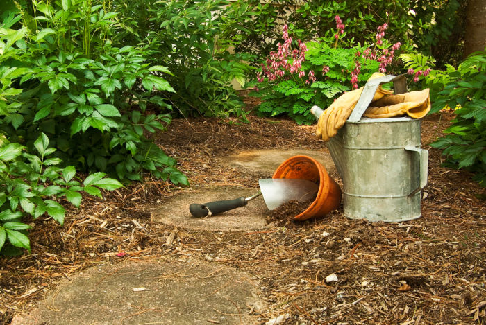 Mulching &amp; Organic Gardens