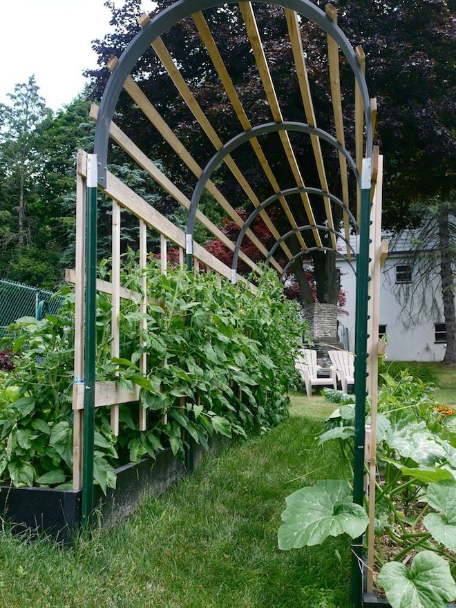 Trellis Construction